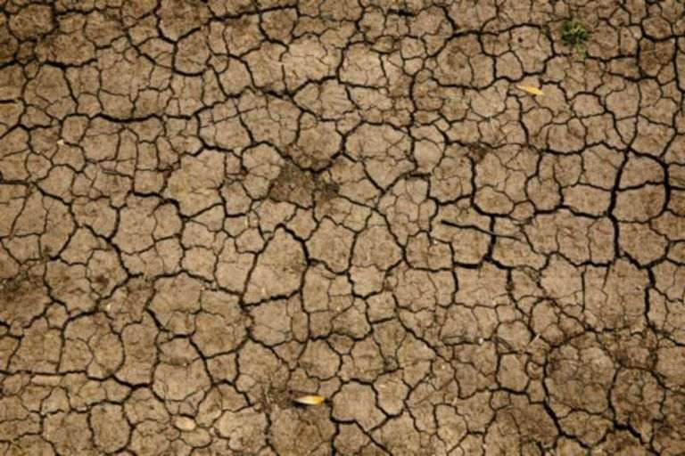 Cracked, dried-out earth seen from above.