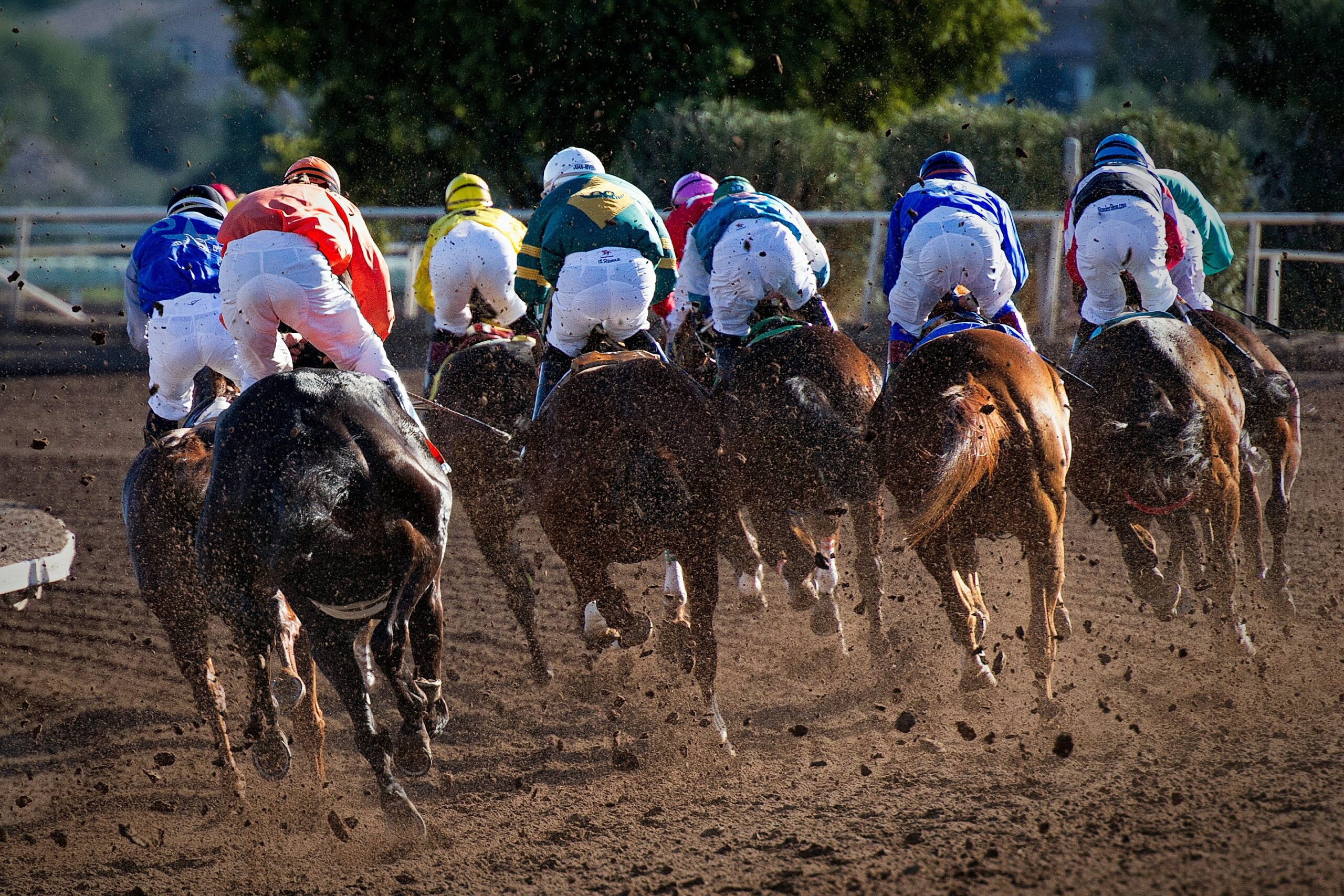 jockeys racing on horses